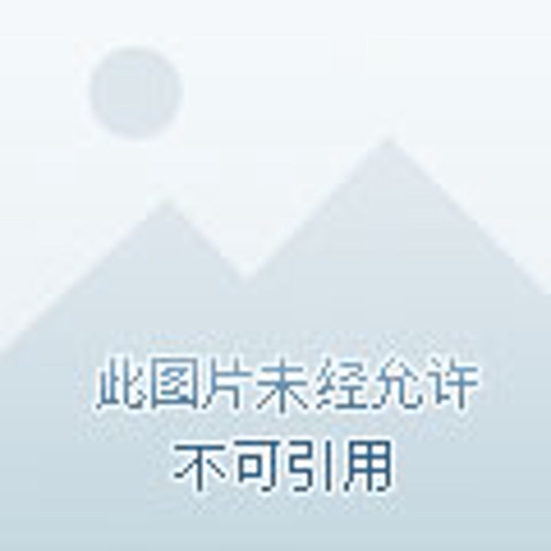 山西森康新能源发展有限公司阳泉分公司的运营现状如何？
